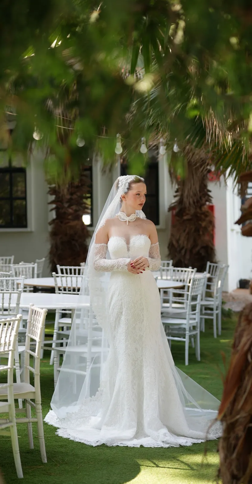 Diana - Genel Görünüm