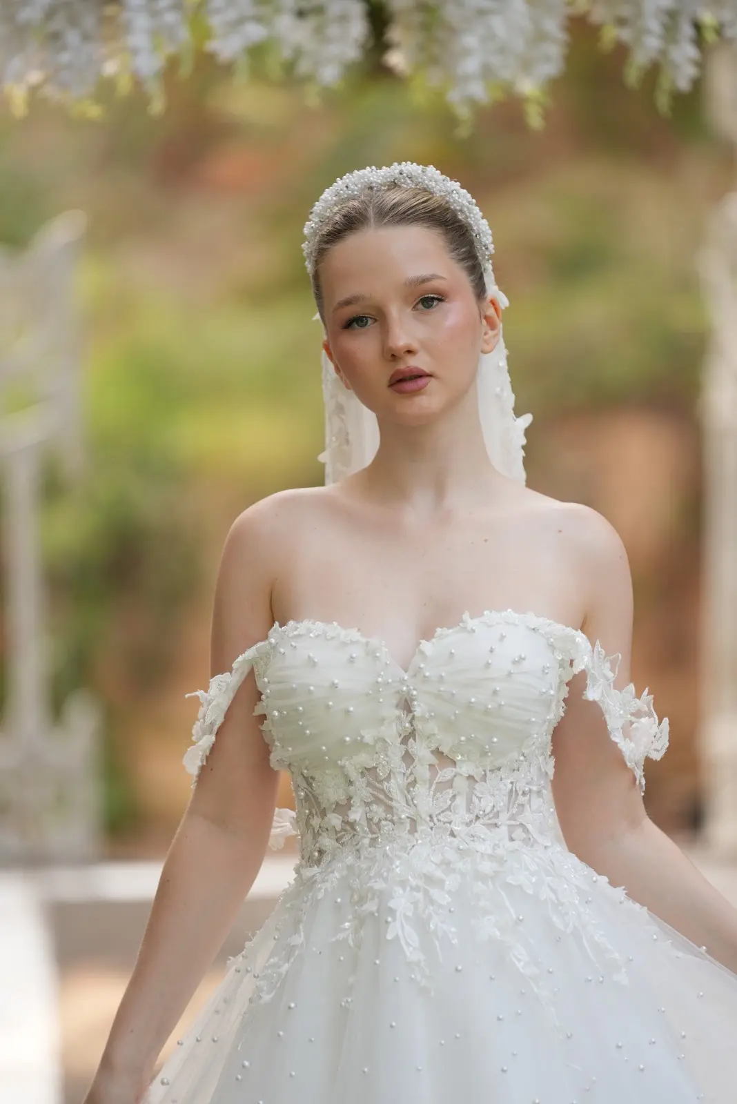 Elysia - Genel Görünüm